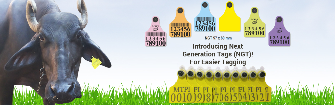 mtpi-new-generation-banner-4